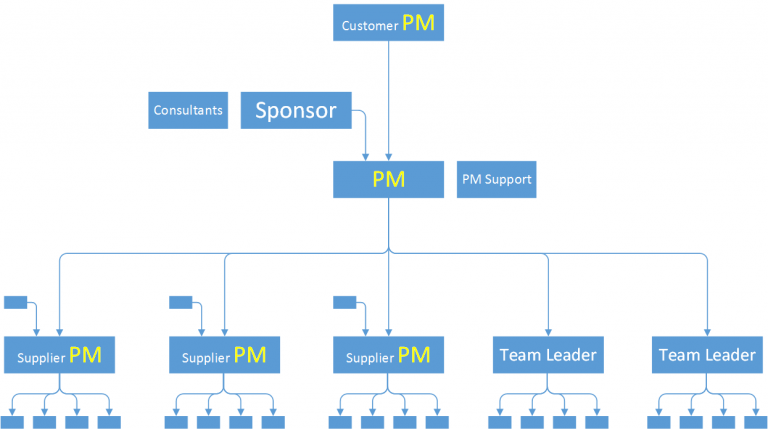 single organization diagram